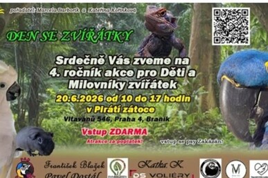 Papouščí setkání