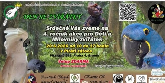 Papouščí setkání